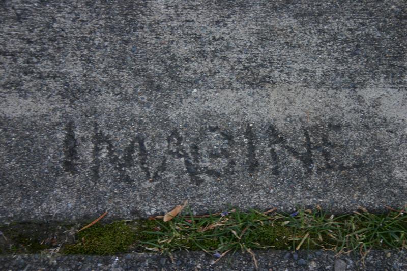 photo Details UrbaNature