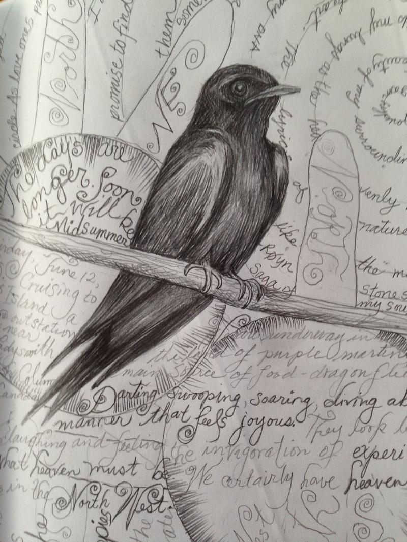 journal sketch